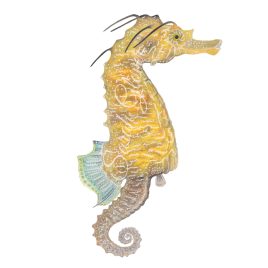 Cecil the Seahorse